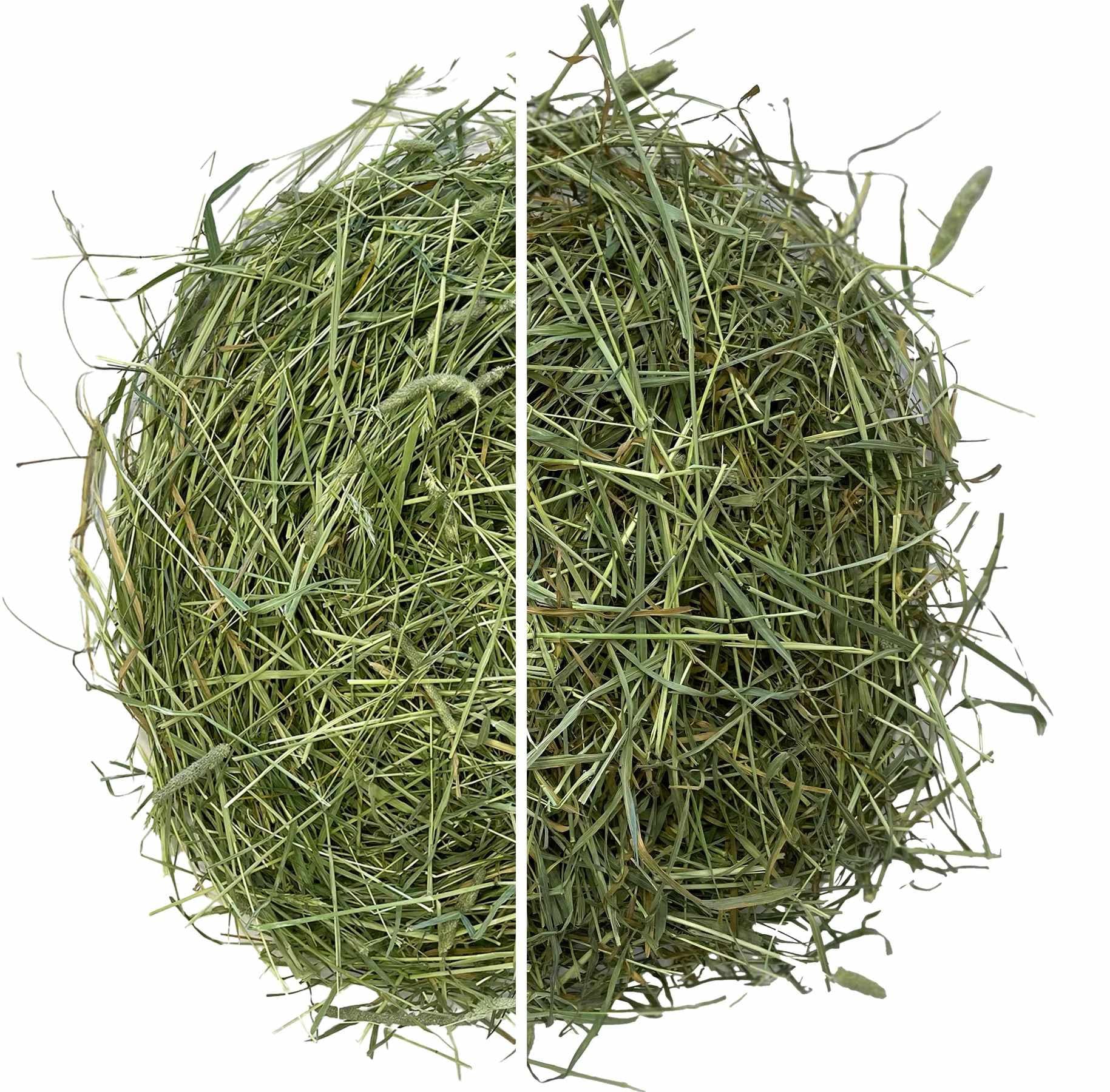 Timotejmix
